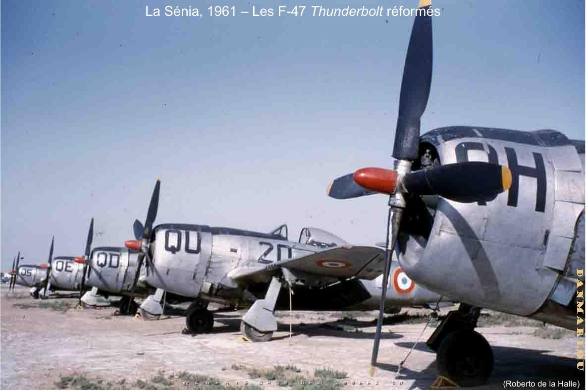 158 - ARMEE DE L'AIR EN ALGERIE 1945-1962-6 (80).jpg